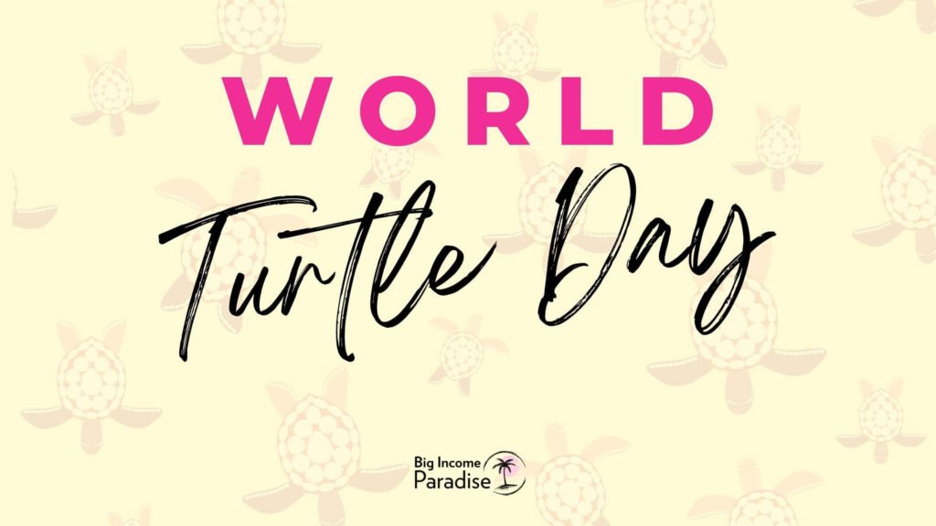 World Turtle Day post idea