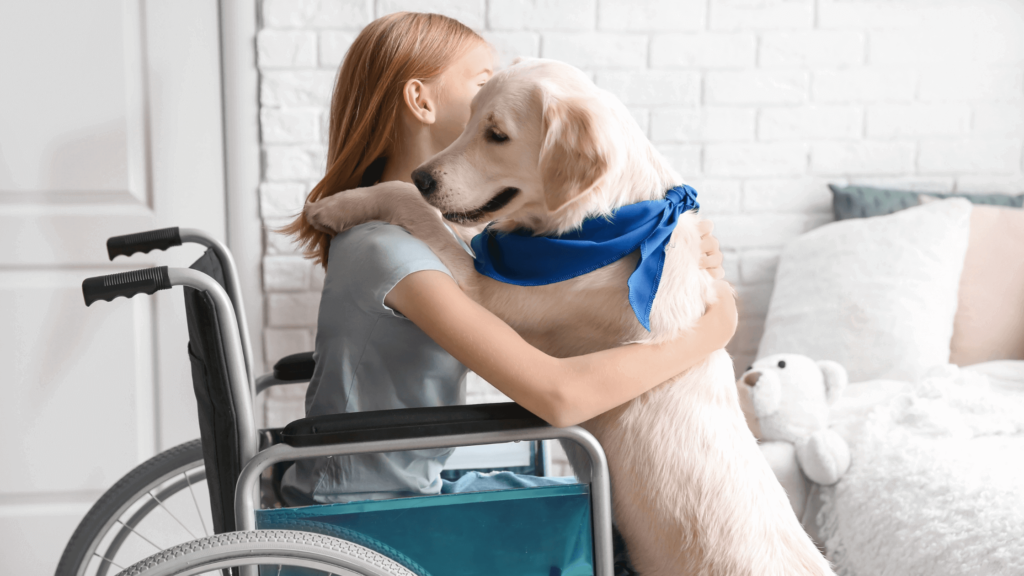 Assistance Dog Day
