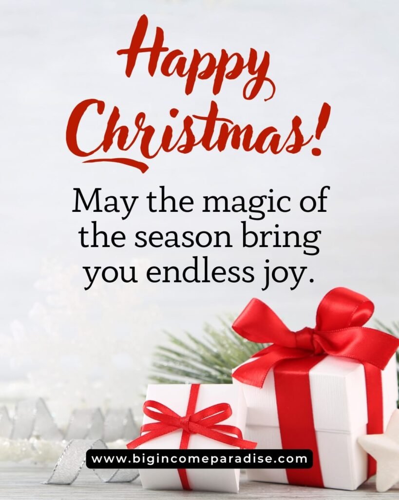 Happy Christmas! May the magic of the season bring you endless joy