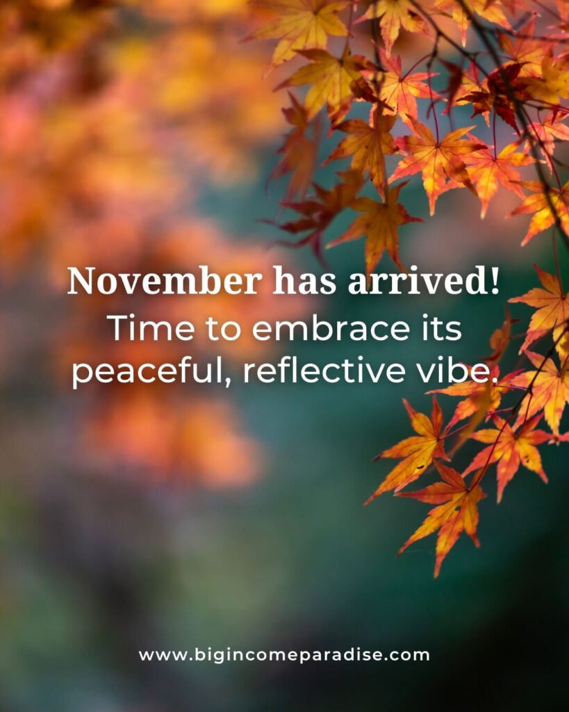 November has arrived! Time to embrace its peaceful, reflective vibe