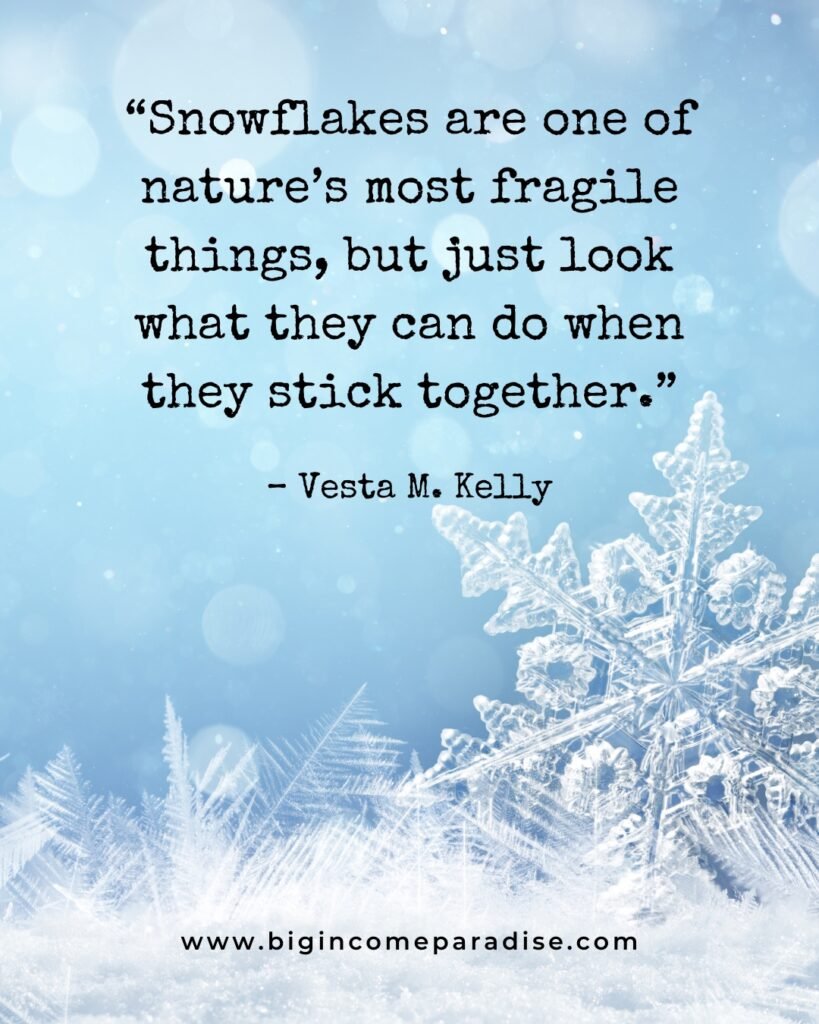 “Snowflakes are one of nature’s most fragile things, but just look what they can do when they stick together.” – Vesta M. Kelly