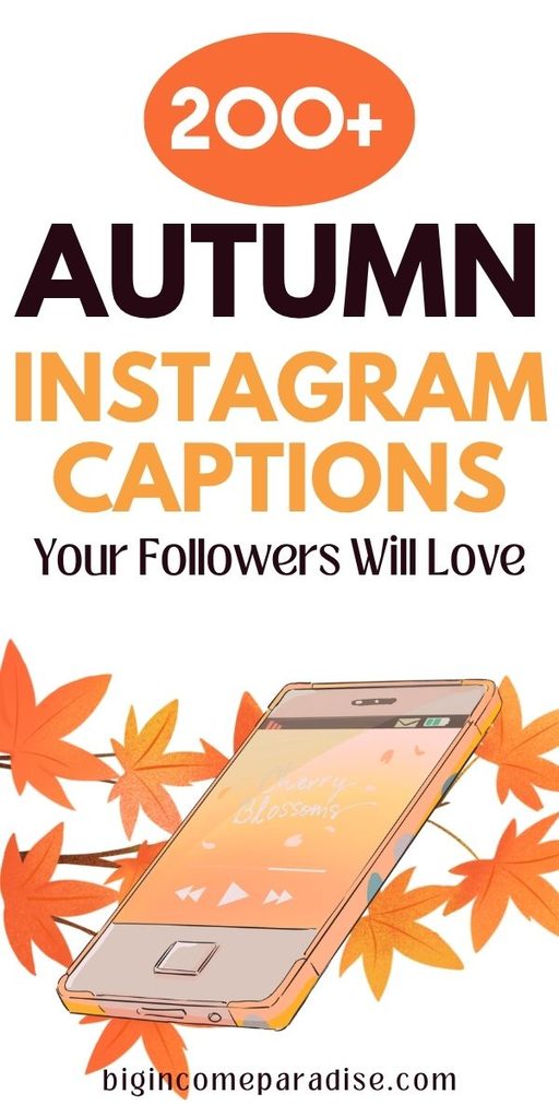 200+ Autumn Instagram Captions Your Followers Will Love